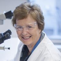 Professor Suzanne Cory